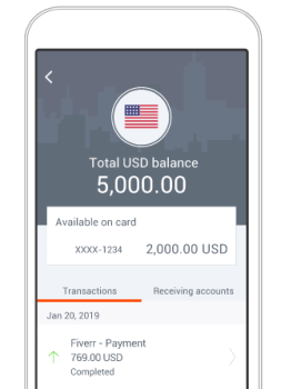 Payoneer Plaćanja